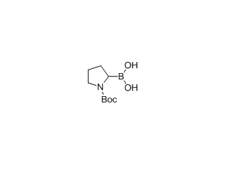 149682-75-7  1-N-Boc-pyrrolidin-2-ylboronic acid