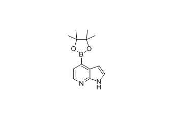 942919-26-8  7-Azaindole-4-boronic acid pinacol ester