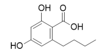 173324-41-9  2,4-Dihydroxy-6-propyl-benzoic acid